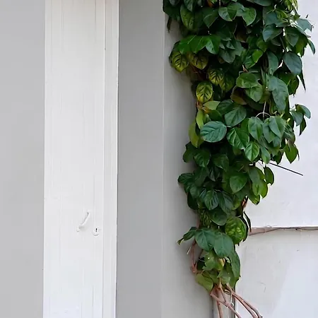 Hotel Casa Agena *